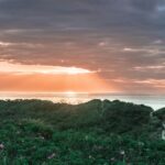 Tolne Camping - Bild 3 Tolne Camping - Bild 3