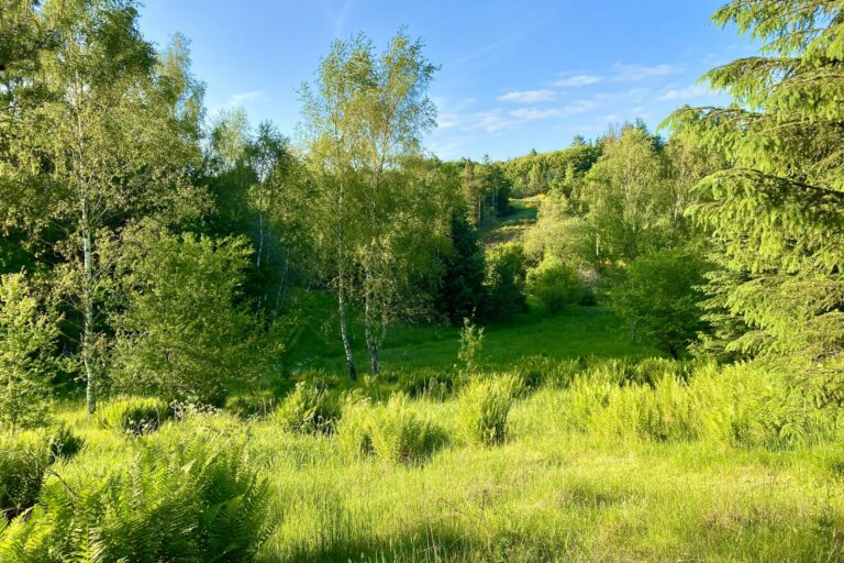 Tolne Camping - Bild 4 Tolne Camping - Bild 4