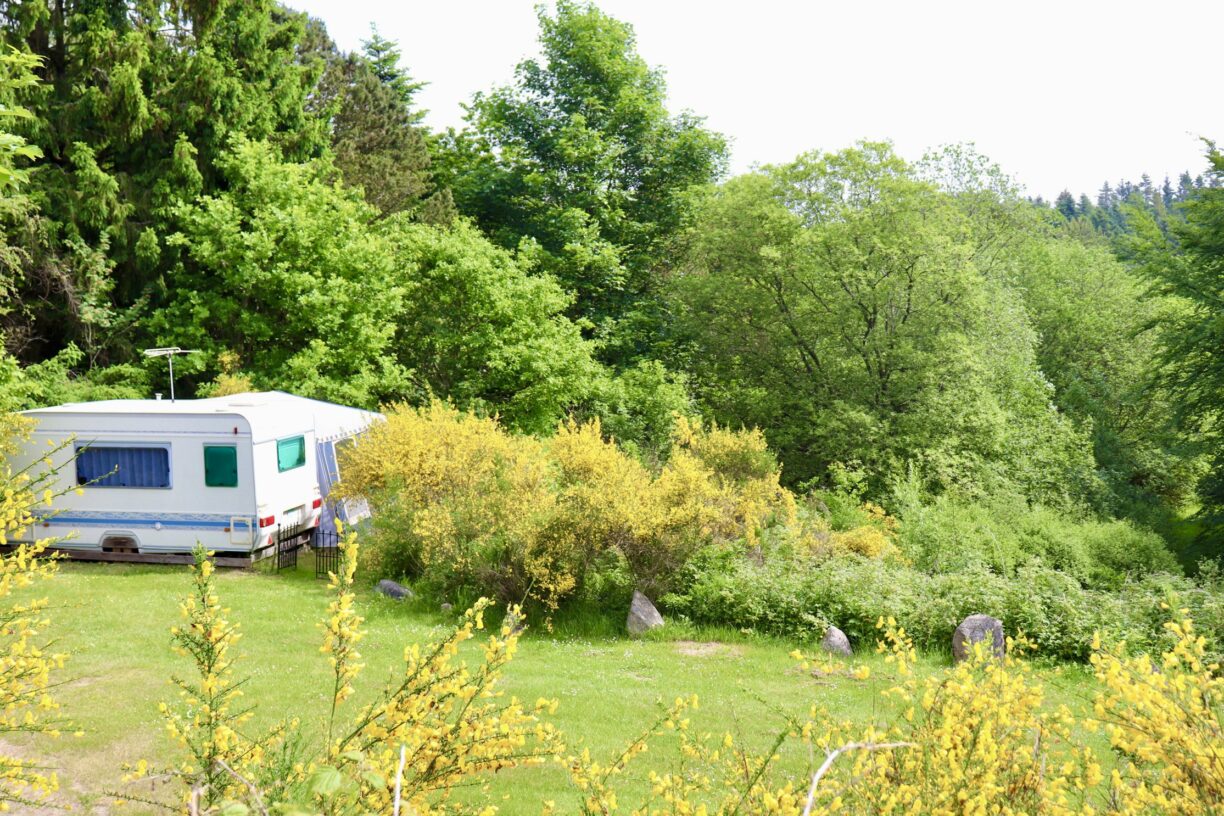 Tolne Camping - Bild 6 Tolne Camping - Bild 6