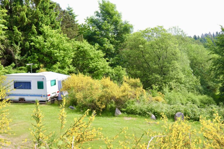 Tolne Camping - Bild 6 Tolne Camping - Bild 6