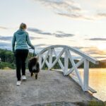 Topcamp Mjøsa - Brumunddal - Bild 7