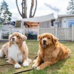 Topcamp Onsakervika - Bild 20