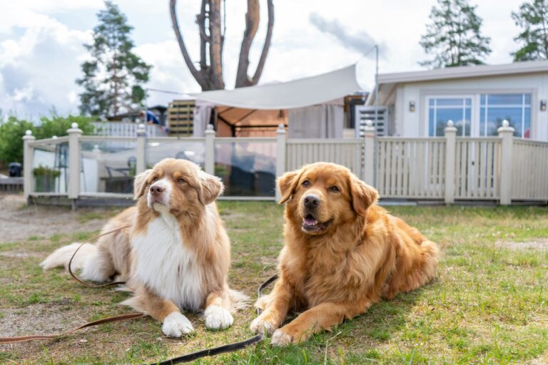 Topcamp Onsakervika - Bild 20