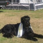 Tornby Strand Camping - Hirtshals - Bild 20