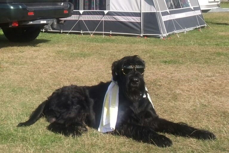 Tornby Strand Camping - Hirtshals - Bild 20