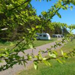 Tornby Strand Camping - Hirtshals - Bild 5