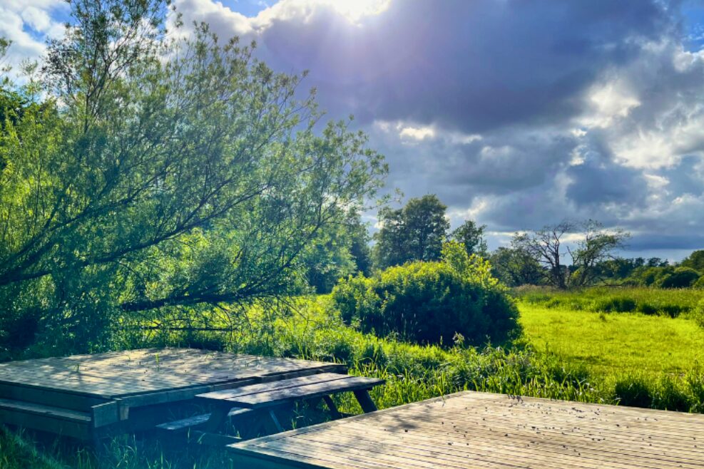 Tørring Camping - Bild 9 Tørring Camping - Bild 9