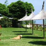 Trasimeno Glamping Resort - Bild 9