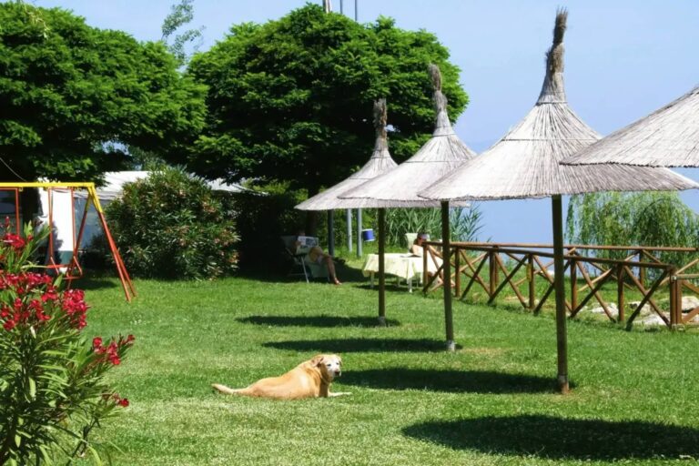 Trasimeno Glamping Resort - Bild 9