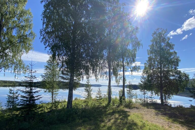 Trehörningsjö Camping Och Stugor - Bild 6 Trehörningsjö Camping Och Stugor - Bild 6