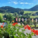 Trendcamping Wolfach-halbmeil - Bild 8