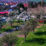 Triocamp Praha - Bild 1 Triocamp Praha - Bild 1