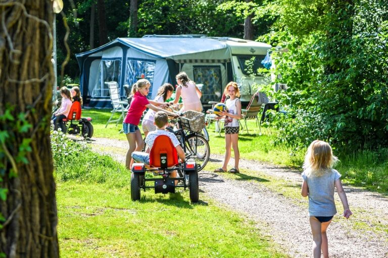 Vakantiepark Bergsehaak - Bild 6