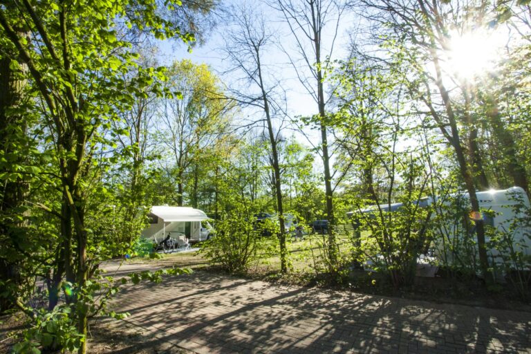 Vakantiepark Breebronne - Bild 4