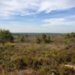 Vakantiepark De Luttenberg - Bild 6