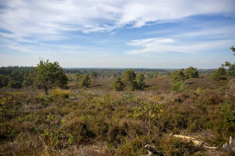 Vakantiepark De Luttenberg - Bild 6