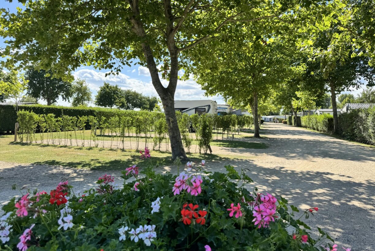 Vakantiepark De Molenhoek - Bild 15 Vakantiepark De Molenhoek - Bild 15