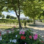 Vakantiepark De Molenhoek - Bild 15 Vakantiepark De Molenhoek - Bild 15