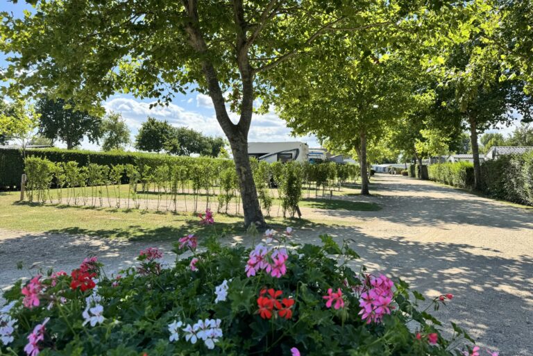 Vakantiepark De Molenhoek - Bild 15 Vakantiepark De Molenhoek - Bild 15