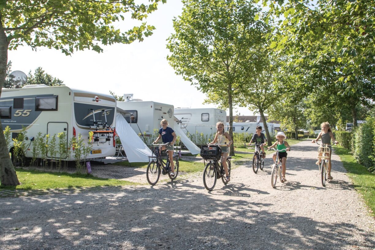 Vakantiepark De Molenhoek - Bild 2 Vakantiepark De Molenhoek - Bild 2