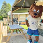 Vakantiepark De Molenhoek - Bild 8 Vakantiepark De Molenhoek - Bild 8