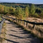 Vakantiepark De Thijmse Berg - Bild 14