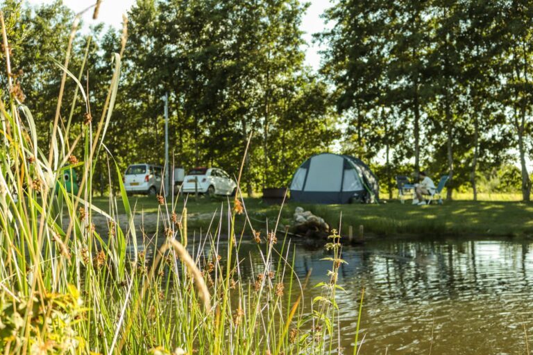 Vakantiepark De Toffe Peer - Bild 10