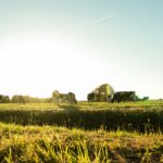 Vakantiepark De Toffe Peer - Bild 14