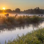 Vakantiepark De Toffe Peer - Bild 5