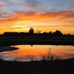 Vakantiepark De Toffe Peer - Bild 6