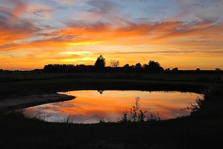 Vakantiepark De Toffe Peer - Bild 6