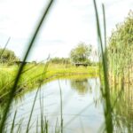 Vakantiepark De Toffe Peer - Bild 7