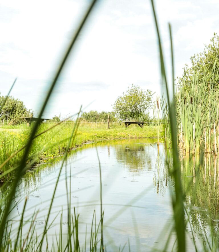 Vakantiepark De Toffe Peer - Bild 7