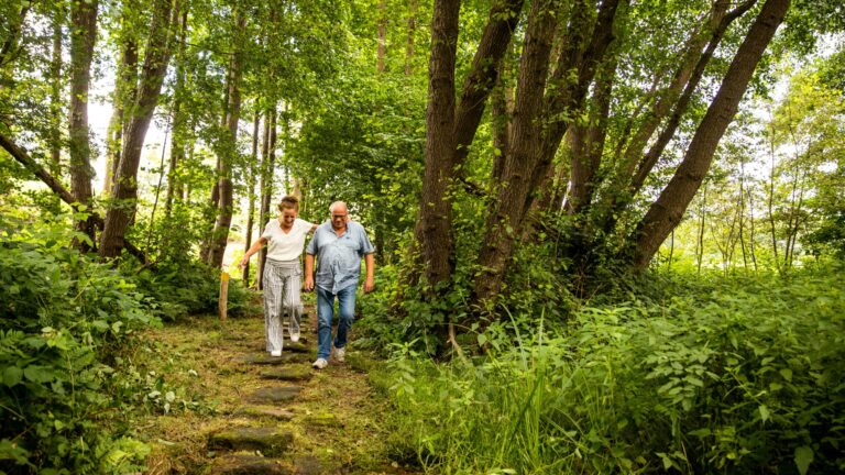 Vakantiepark De Witte Berg - Bild 17