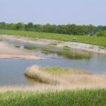 Vakantiepark De Zeeuwse Parel - Bild 10