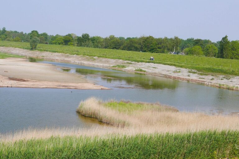 Vakantiepark De Zeeuwse Parel - Bild 10