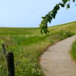 Vakantiepark De Zeeuwse Parel - Bild 15