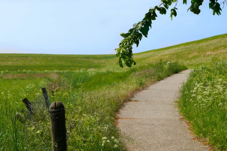 Vakantiepark De Zeeuwse Parel - Bild 15