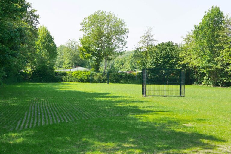 Vakantiepark De Zeeuwse Parel - Bild 4