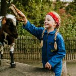 Vakantiepark Dierenbos - Bild 14