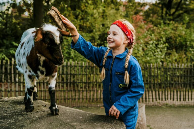 Vakantiepark Dierenbos - Bild 14