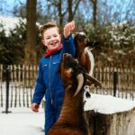 Vakantiepark Dierenbos - Bild 15