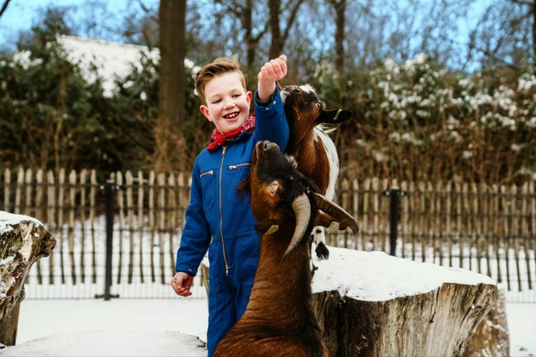 Vakantiepark Dierenbos - Bild 15