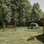 Vakantiepark Dierenbos - Bild 3