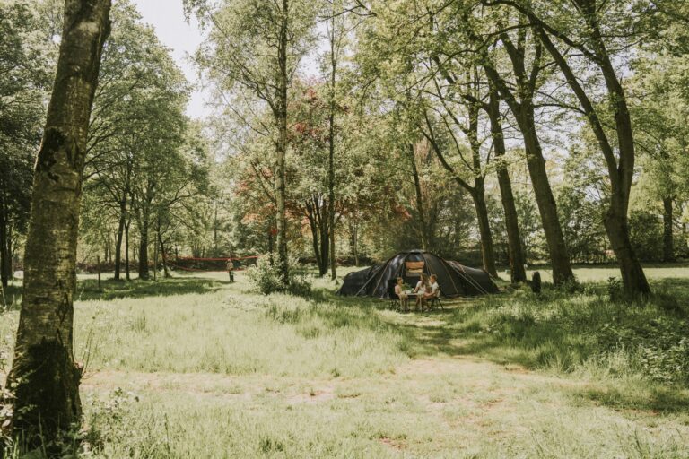 Vakantiepark Dierenbos - Bild 4