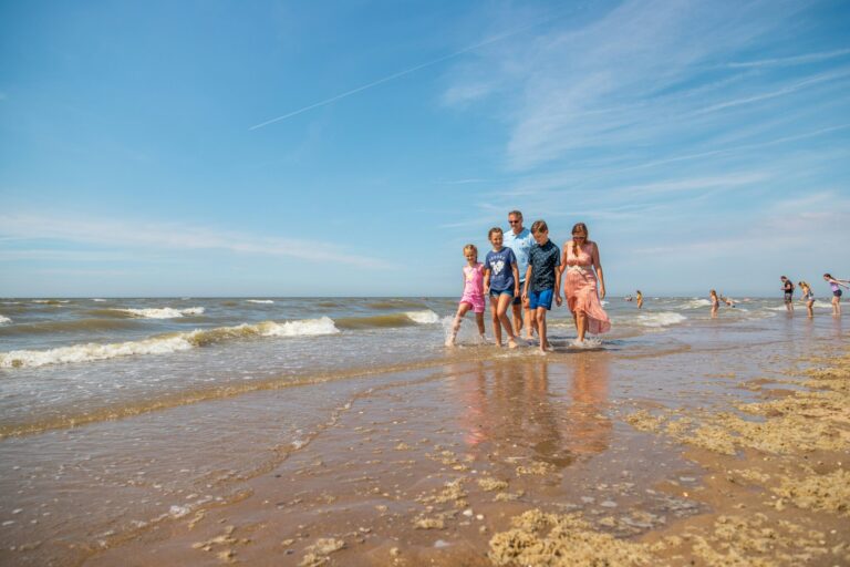 Vakantiepark Europarcs Parc Du Soleil - Bild 18