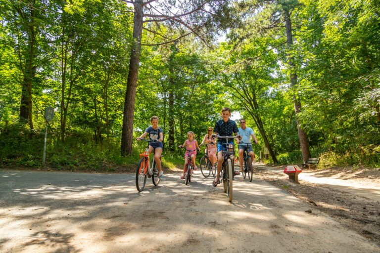 Vakantiepark Europarcs Parc Du Soleil - Bild 7