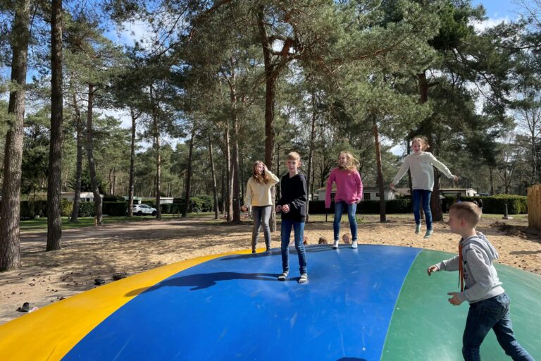 Vakantiepark Hertenhorst - Bild 12