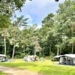 Vakantiepark Hertenhorst - Bild 2