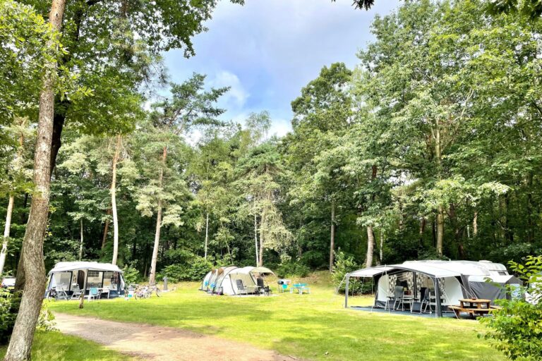 Vakantiepark Hertenhorst - Bild 2